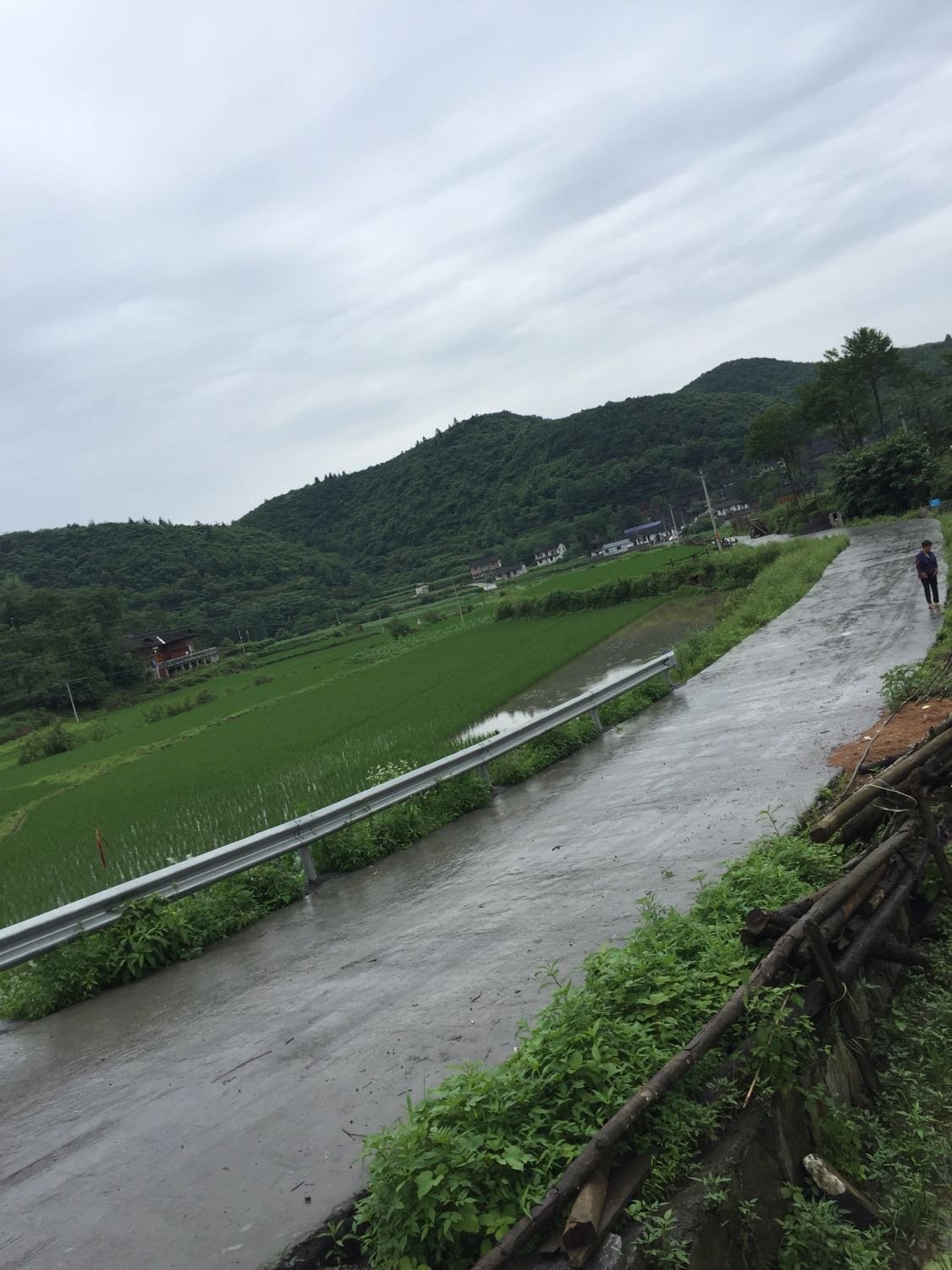 杉山镇天气预报更新通知