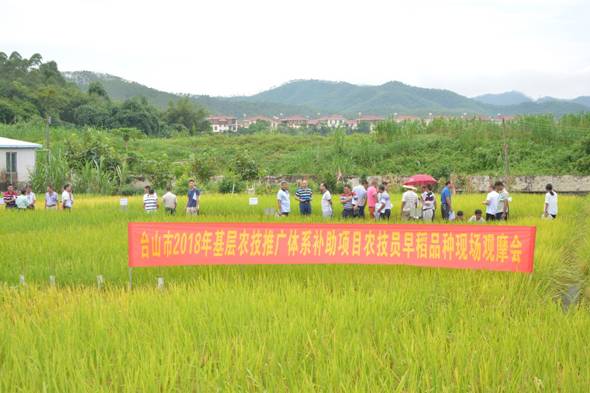 什邡市农业农村局新项目推动农业现代化助力乡村振兴