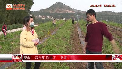 铜鼓县人力资源和社会保障局最新动态报道