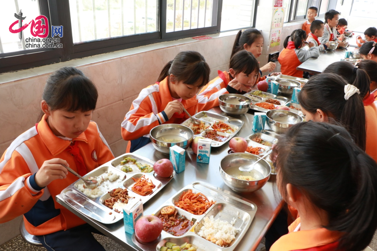 镇宁布依族苗族自治县小学最新项目概览，教育新动向