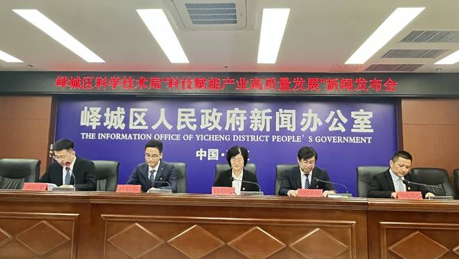 金口河区科技局新闻动态解析报告