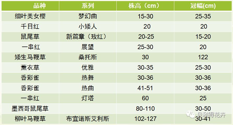 2024天天开彩免费资料,长期性计划定义分析_挑战款88.250