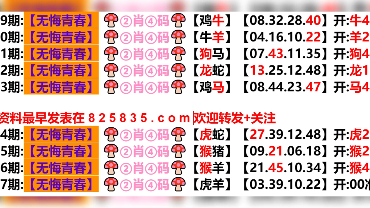 2024新奥门天天开好彩大全85期,迅速执行解答计划_PalmOS68.488