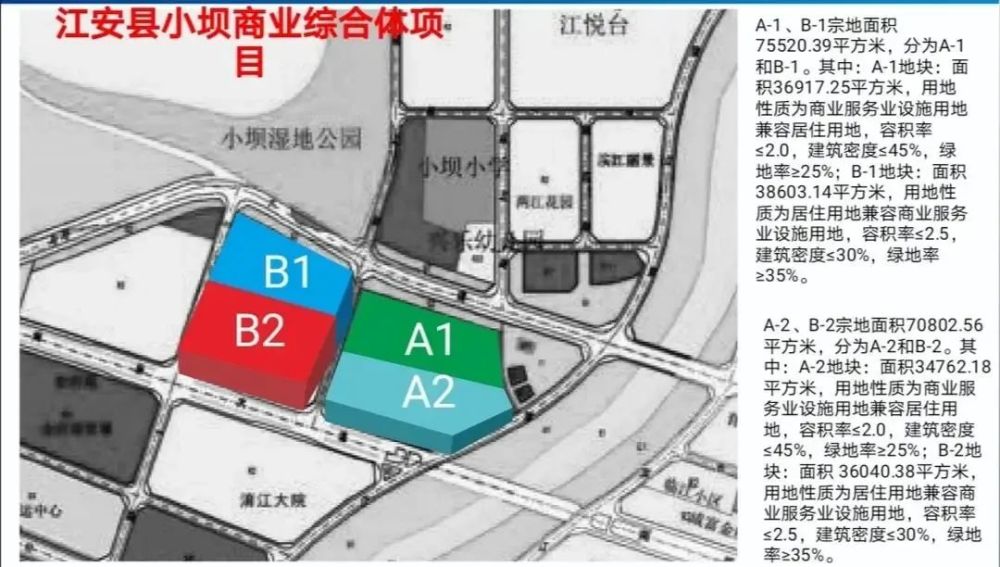 玛多县数据和政务服务局最新发展规划深度探讨