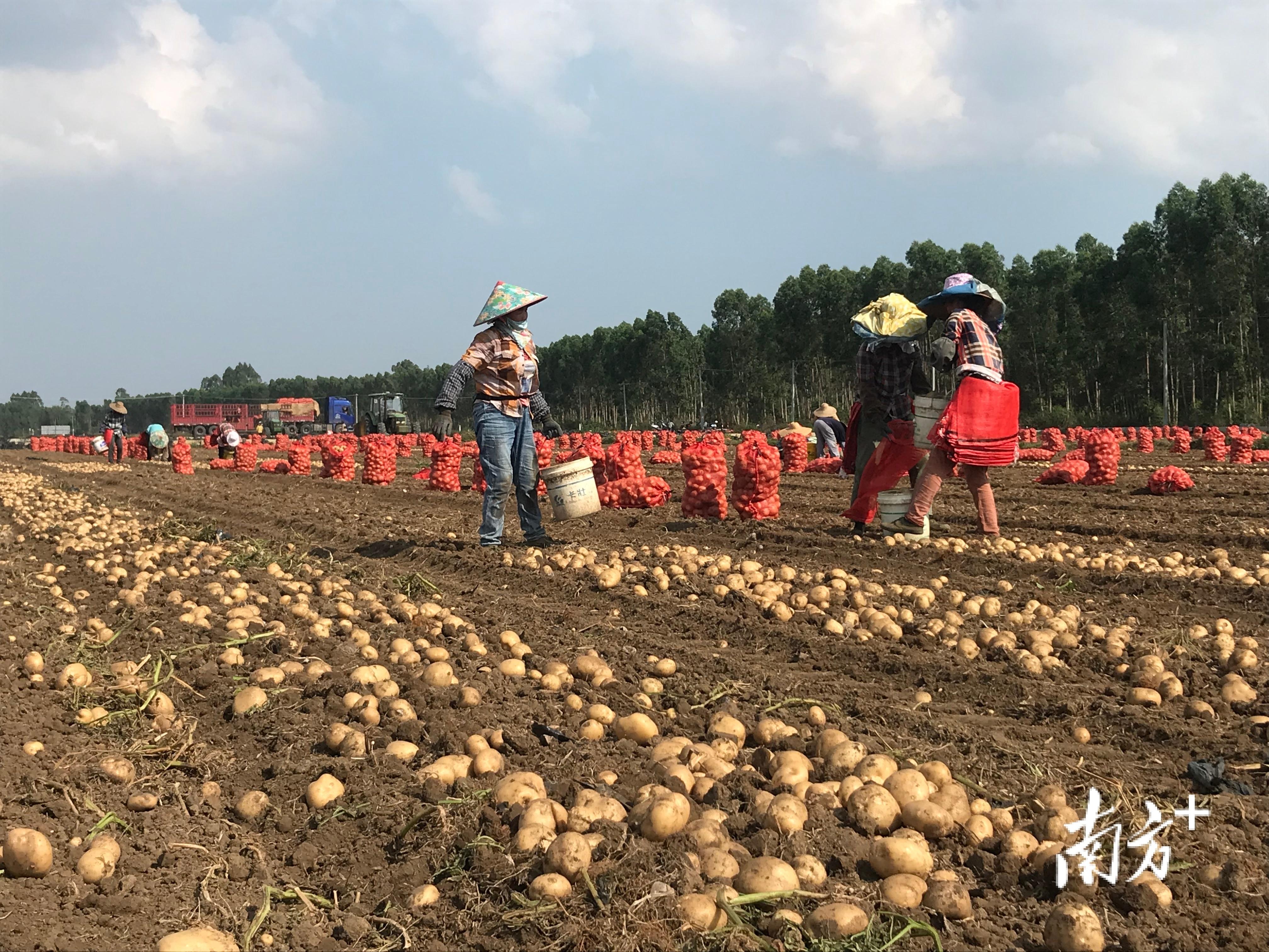 城月镇最新新闻速递