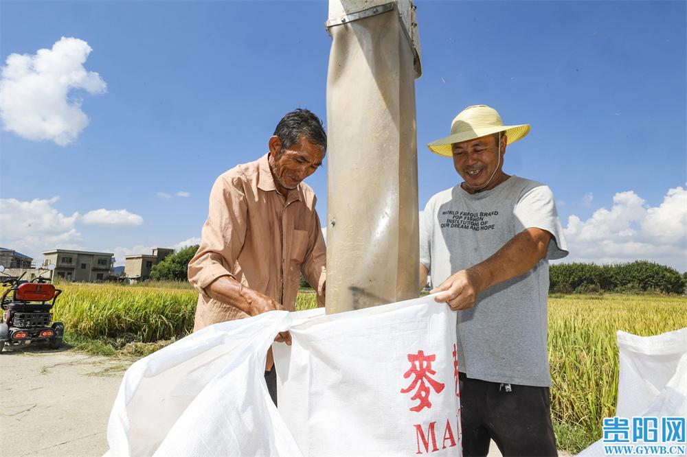 龙宝村最新新闻动态报道速递