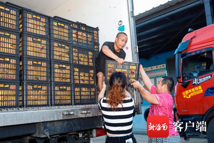 湘海新篇章揭秘，最新消息揭开神秘面纱