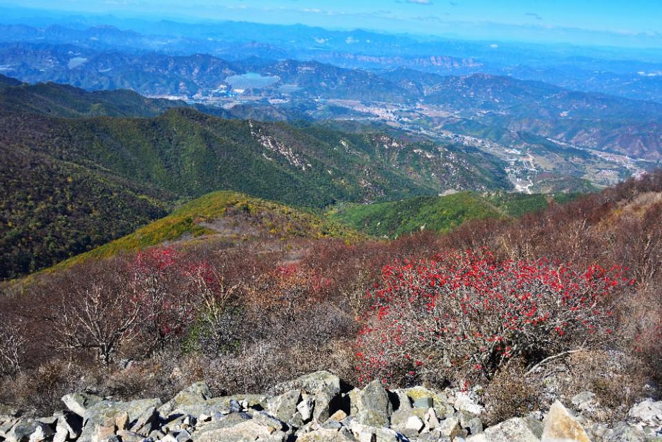 青龙满族自治县自然资源和规划局最新动态报道