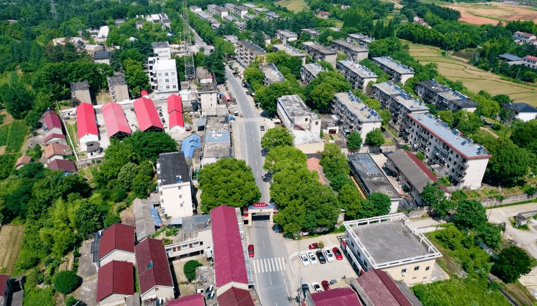 前甸镇最新发展规划概览