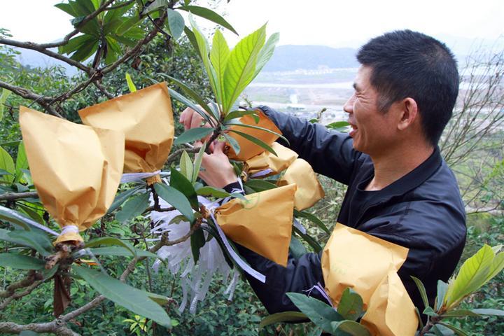 埠头镇最新新闻动态报道速递