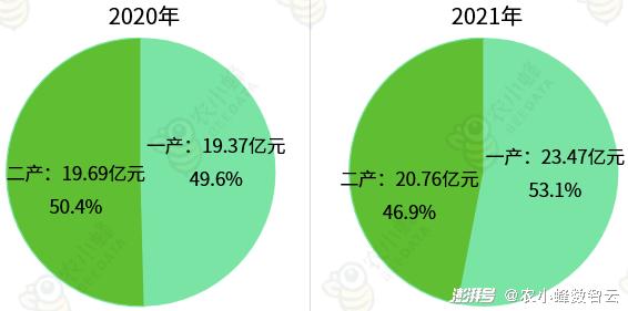 谯城区数据与政务服务局发展规划探讨与展望