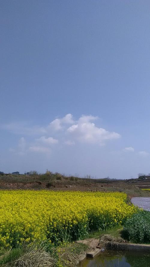 花官镇天气预报更新通知