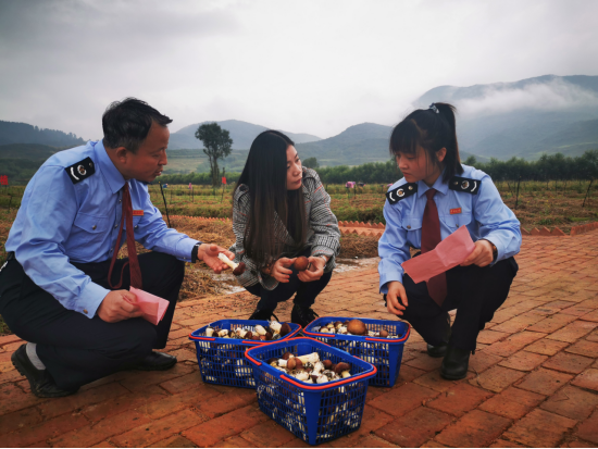 狼土泉村民委员会新项目启动，振兴乡村，共筑未来之梦