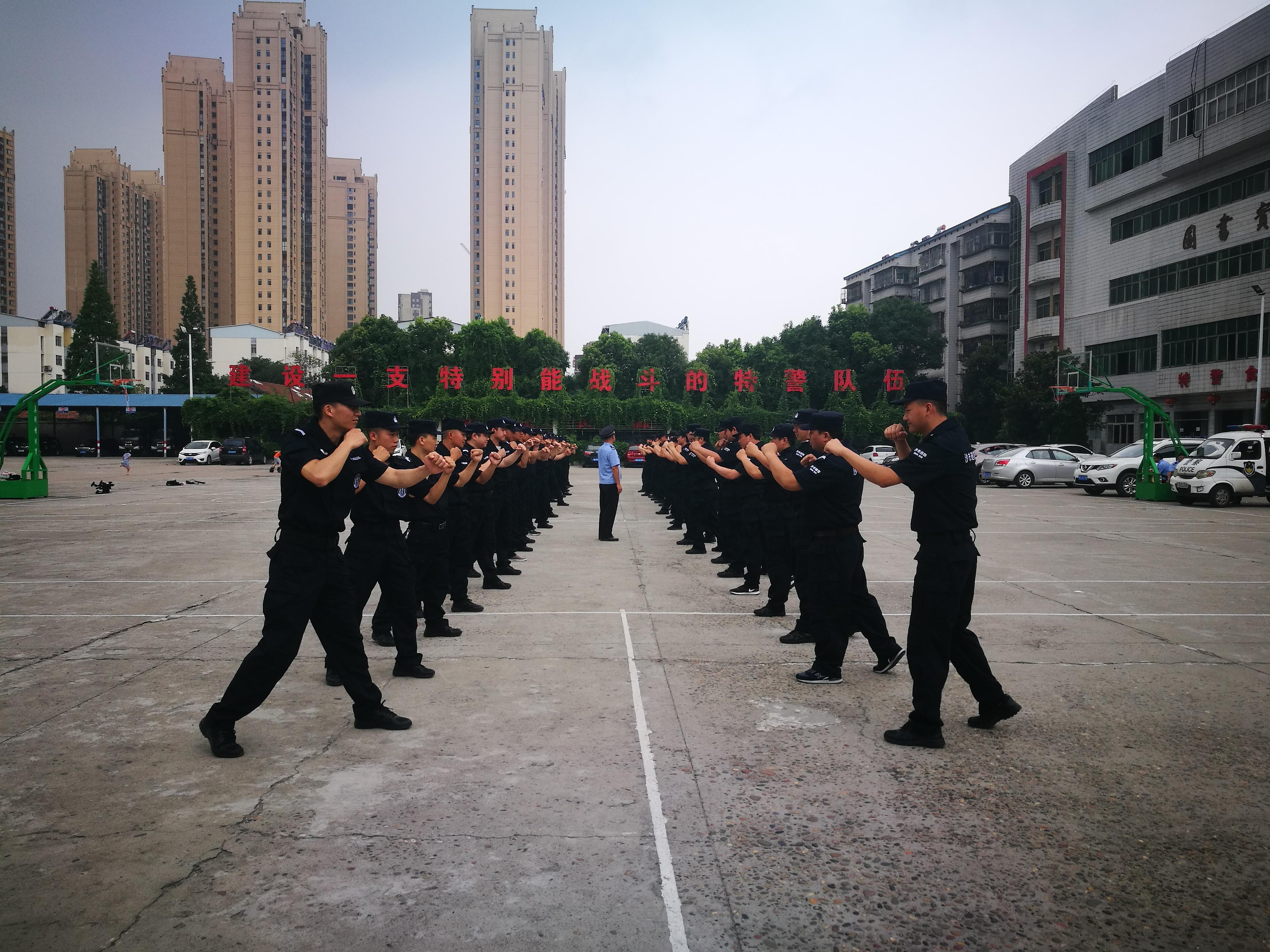 沙市区教育局最新动态报道