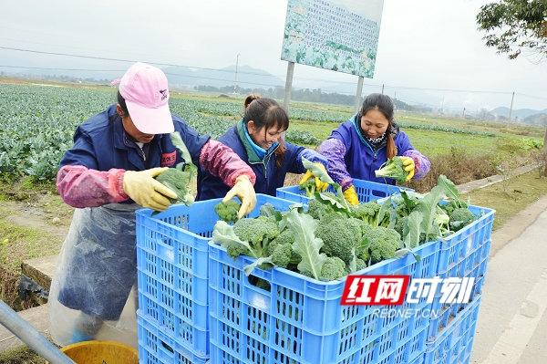 江华瑶族自治县公路运输管理事业单位招聘启事