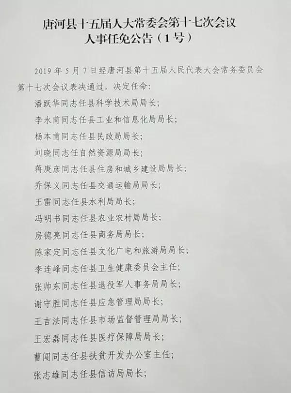 唐河县数据和政务服务局人事任命，推动政务数字化转型的重要一步